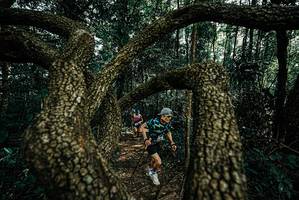 BIB: 
                            <button type="button" onclick="openModal(25665539)" class="btn btn-primary btn-sm float-right btn-popup" data-toggle="modal" data-target=".modal-high-quality">
                        <i class="fas fa-shopping-cart"></i> Add to Cart
                    </button>
                                            <button type="button" onclick="isThisMe(25665539, true)" class="btn btn-success btn-sm float-right btn-popup btn-isme hidden" data-toggle="tooltip" data-placement="bottom" title="นี่คือรูปของคุณใช่ไหม คลิกที่นี่เพื่อเอาเข้าอัลบั้ม">
                        <i class="fas fa-plus"></i> Add to album
                    </button>
                    <button type="button" onclick="isThisMe(25665539, false)" class="btn btn-warning btn-sm float-right btn-popup btn-isnotme hidden">
                        <i class="fas fa-ban"></i> Remove from album
                    </button>